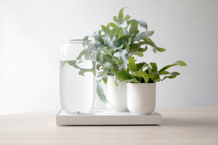 Tableau_Automatic_Houseplant_Watering_Tray_Pikaplant_White_03