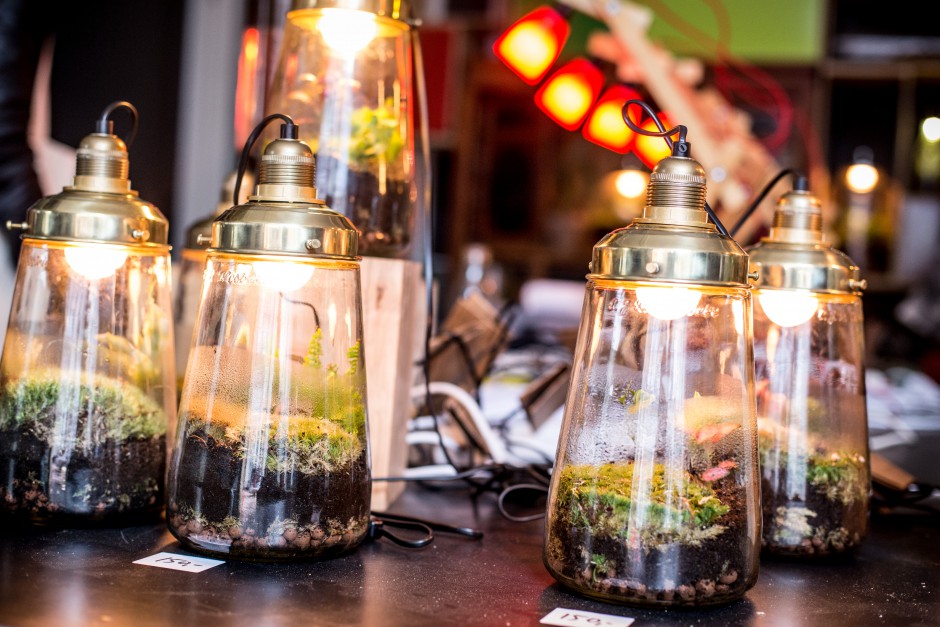 Spruitje maakt plantenwerelden in lampen