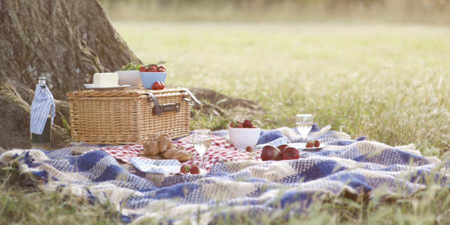 Picknick