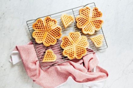 Hummingbird wafels